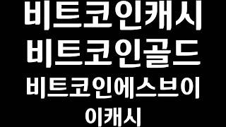 비트코인 오르면 무조건 오르는 코인? 비트코인캐시 비트코인에스브이 비트코인골드 이캐시 .비트토렌트는 X