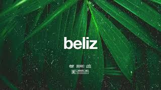 (FREE) | "Beliz" | Swae Lee x Burna Boy x Rema Type Beat | Free Beat | Dancehall Instrumental 2024