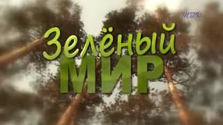 Фильм «Зелёный мир»