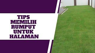 Tips Memilih Rumput Untuk Halaman Kediaman #landskap gardening