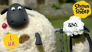  Shaun the Sheep  | 1 HOUR ULTIMATE COMPILATION ⏰