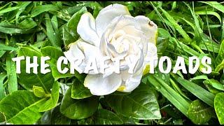 The Crafty Toads - 592 - Project Updates - Knitting, Cross Stitch, Lego & EPP