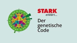 Der Genetische Code | STARK erklärt