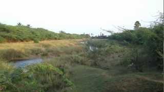 A stream near Talamanchi - Part 2/3