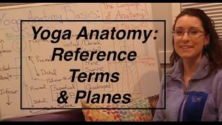 "Yoga ANATOMY Basics1"- Reference Terms & Planes of the Body: LauraGyoga