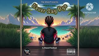 Pesos x EPZ - Never Say Bye