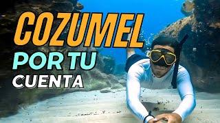 Un dia de Snorkel en Cozumel / Explorando Cozumel por tu cuenta/ Hotel Ventanas al mar