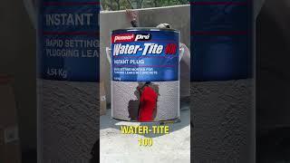 Katibay Arch. Ricky Santos with Pioneer Pro waterproofing products