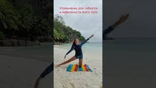 Приятная ГИБКОСТЬ для ВСЕГО ТЕЛА в ОДНОМ упражнении