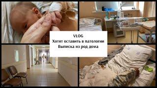 VLOG ХОТЯТ ОСТАВИТЬ В ПАТОЛОГИИ. ПЕРВЫЕ РОДЫ #белгород #беременность #семья #роды