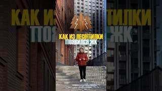 ЖК ЧЕРНЫШЕВСКИЙ - ПОЧЕМУ ТАК НАЗВАЛИ | 8-913-765-07-13 #новосибирск #новостройкиновосибирск