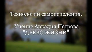 Технологии самоисцеления. Учение ДРЕВО ЖИЗНИ. Аркадий Петров