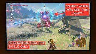 The Legend of Zelda: Breath of the Wild - VS Guardian Stalker