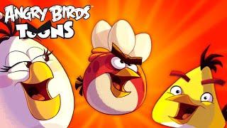 Angry Birds Toons Season 3 | Ep. 21 to 26