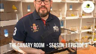 The Canary Room Season 1 - EPISODE 3