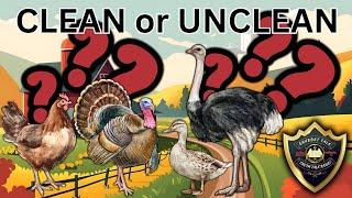 Shabbat Talk 120 - Clean or Unclean: Examining the Birds of Leviticus 11