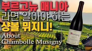 부르고뉴 애호가라면 절대 놓쳐선 안되는 영상, 샹볼 뮈지니 편!