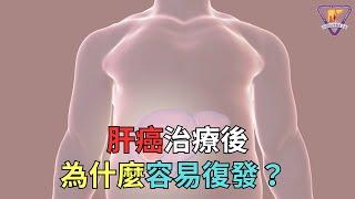 肝癌治療後 為什麼容易復發？｜好心肝·好健康