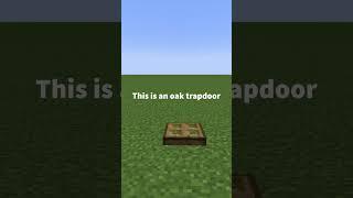 #11 - Oak Trapdoor