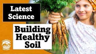 How to Create Living Soil and Grow Healthy Food