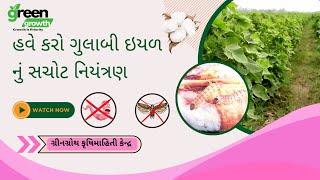 કપાસમા ગુલાબી ઇયળ|| ગુલાબી ઇયળ ક્યારેય પણ નઇ આવે|| ગુલાબી ઇયળ નું નિયંત્રણ #કપાસ #ગુલાબી ઇયળ #kapas