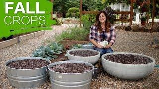 Growing Fall Crops in 10 Steps // Garden Answer