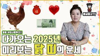 [용궁불사] 2025년 을사년 미리보는 닭띠의 나이대별 운세!!