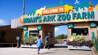  Your Big Day Out at Noah's Ark Zoo Farm 