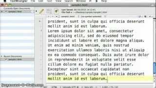 Learn HTML 04 - The paragraph tag