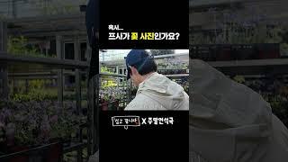 혹시 프사가 꽃 사진인가요? (EN) #주말연석극 #심고갑니다