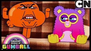 Darwin VS Fuzzy: The Fight For Gumball's BFF | Gumball | Cartoon Network