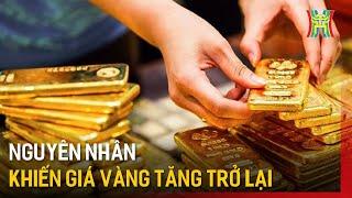 Lý giải nguyên nhân giá vàng tăng trở lại | Tin tức