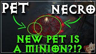 The New Pets Are MINIONS?!? And It's Breaking The Necromancer Again...