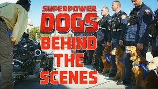 Filming Cosmic Picture’s 3D IMAX original movie: Superpower Dogs