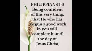 God Will Not Give Up on You| Keep Going + Trust God
