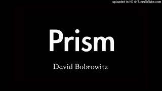 Prism-David Bobrowitz