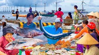 Ngư Dân May Mắn Gặp Con Cá Gộc Quý Hiếm 20kg║Vui Mừng Gành Hào Bạc Liêu Giờ Đã Có Cầu Bắt Qua