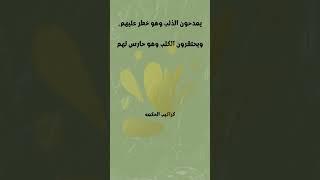 كراكيب الحكمه !!