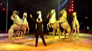 Circus LOUIS KNIE - 2015 Videoclip