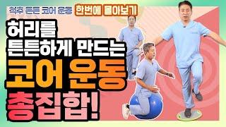 허리에 좋은 ‘코어 운동’ 다 모았다! 집에서 간단하게 할 수 있는 코어 근육 강화 운동 몰아보기!  - 이경석의 척추88 - 코어근육운동