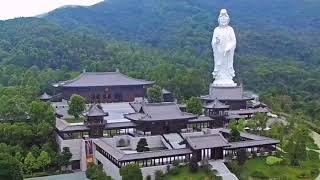 Visit to Tsz Shan Monastery Taipo Hongkong || Mr. Li Ka Shing Foundation