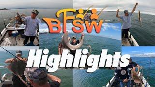 Boat Fishing South Wales Highlights