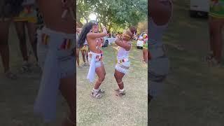 Zulu traditional outfits | music and dancing #zuluculture #traditionalwear #zulu