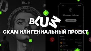 Что же это за BLUM такой? BLUM - скам проект, пустая трата времени, таполка BLUM (детальный обзор)