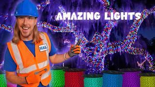 Amazing Christmas Light Show with Handyman Hal | Thousands of Christmas Lights