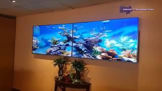 DigitalONscreen - Aquarium video wall digital signage for restaurant Montreal