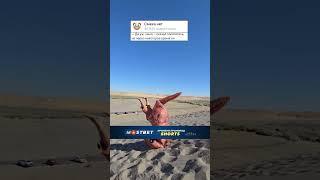 Анекдот про Официантов #шутки #анекдоты #смех  #анекдот #ржака #юмор  #приколы