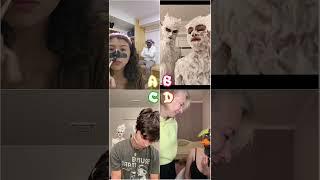 Who's your favourite ? A, B, C or D #shorts #tiktok #viral #dance #cute#funny #trend