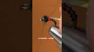 Fulling Mill's Redneck Midge | AvidMax Fly Tying Tuesday Shorts