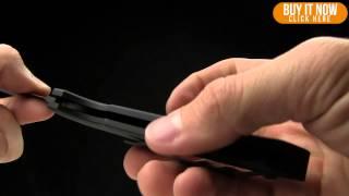 Protech Rockeye Overview